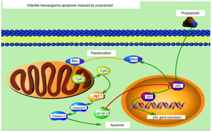 Figure 13.