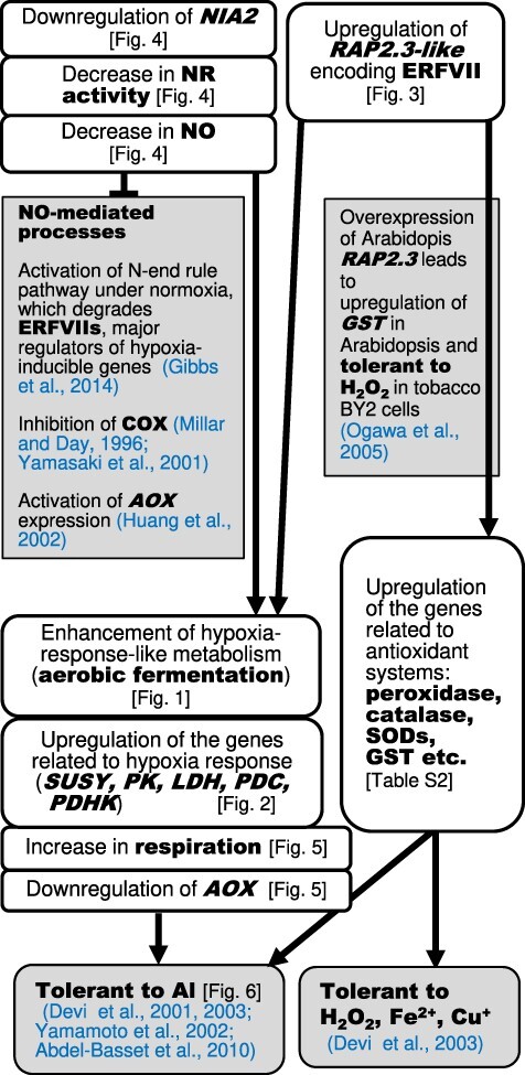 Fig. 11