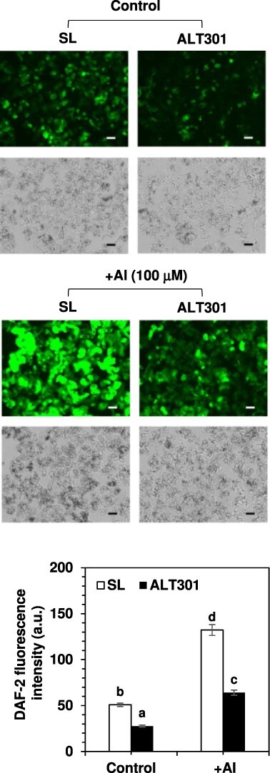 Fig. 10