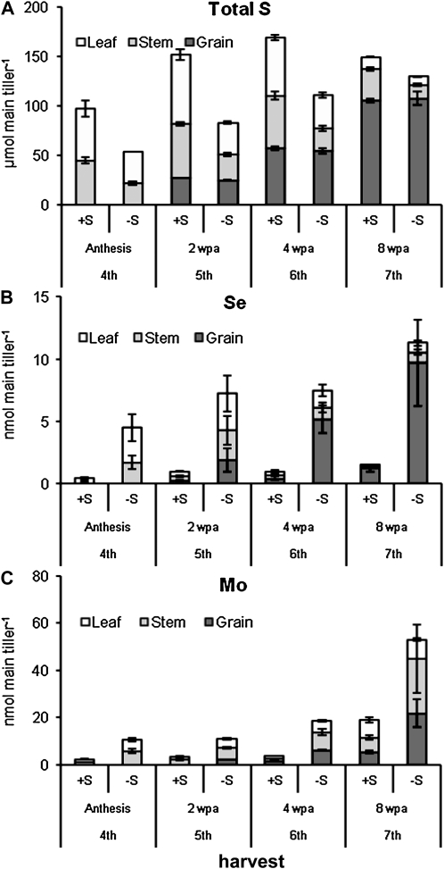 Figure 4.