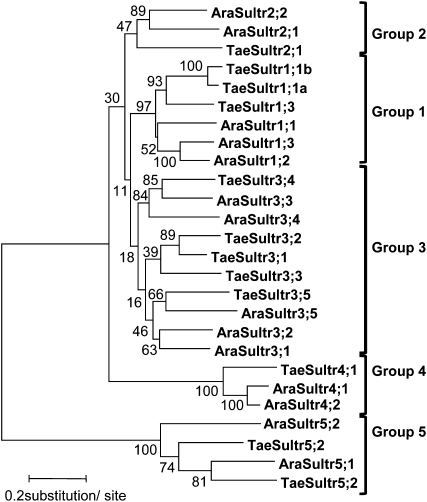 Figure 1.