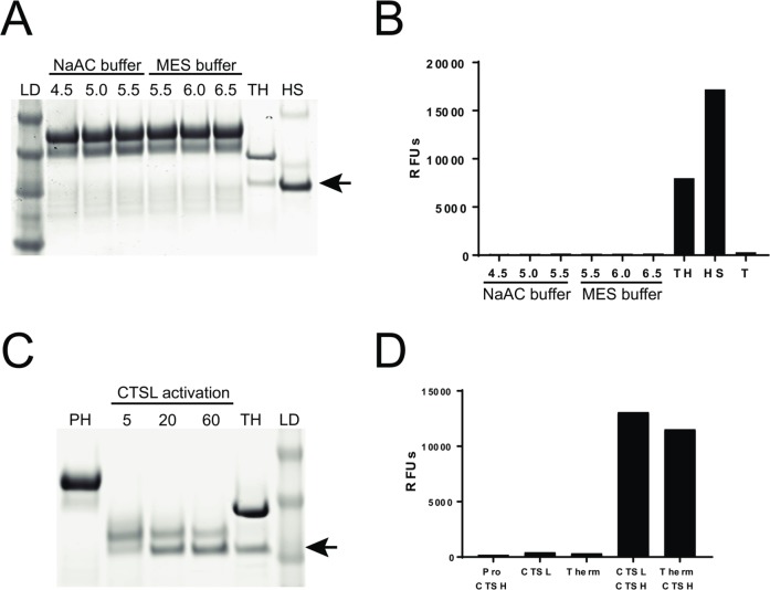 Fig 4