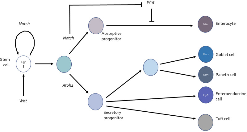 Fig. 2.