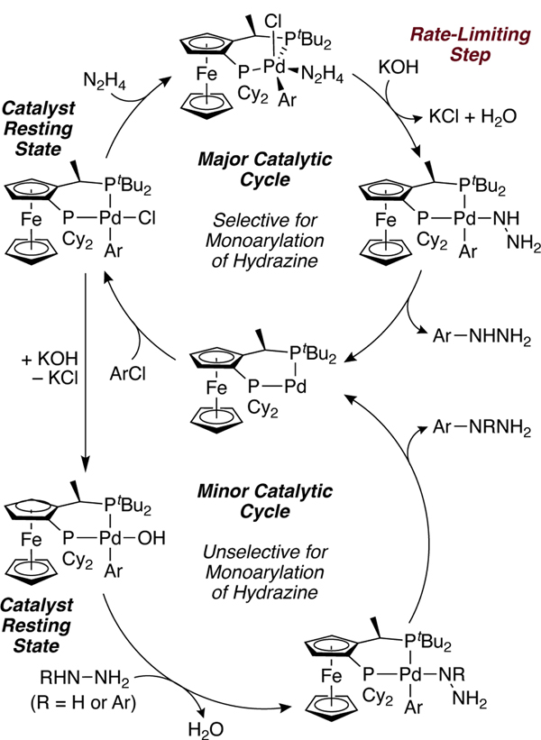 Scheme 9.