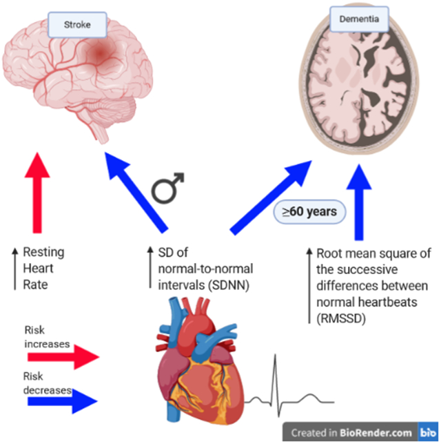 graphic file with name nihms-1686094-f0002.jpg