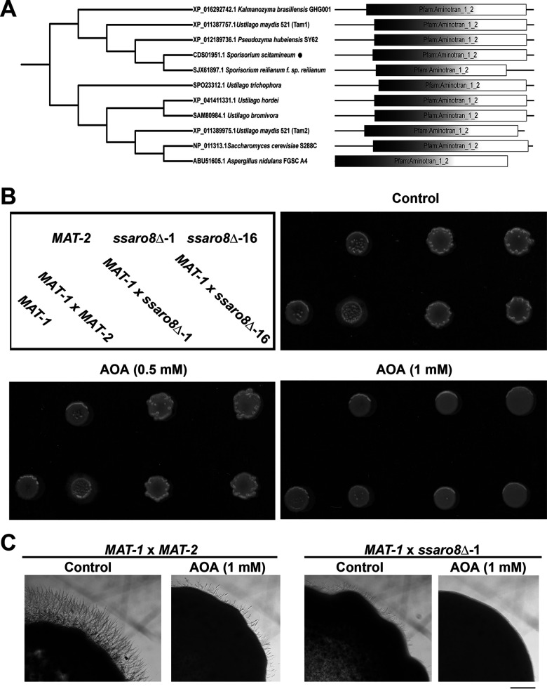 FIG 2