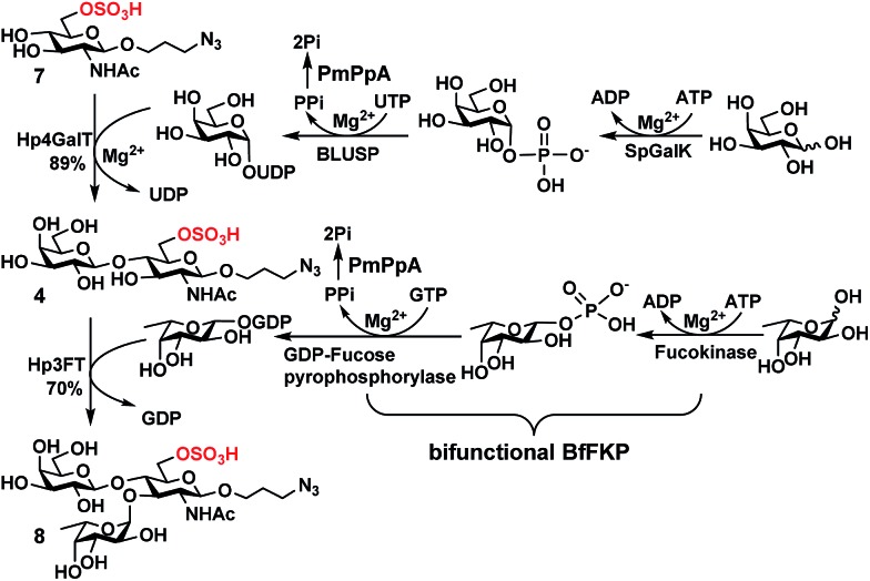 Scheme 1