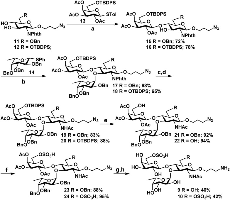 Scheme 2