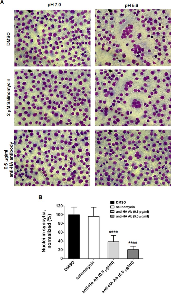 FIG 6