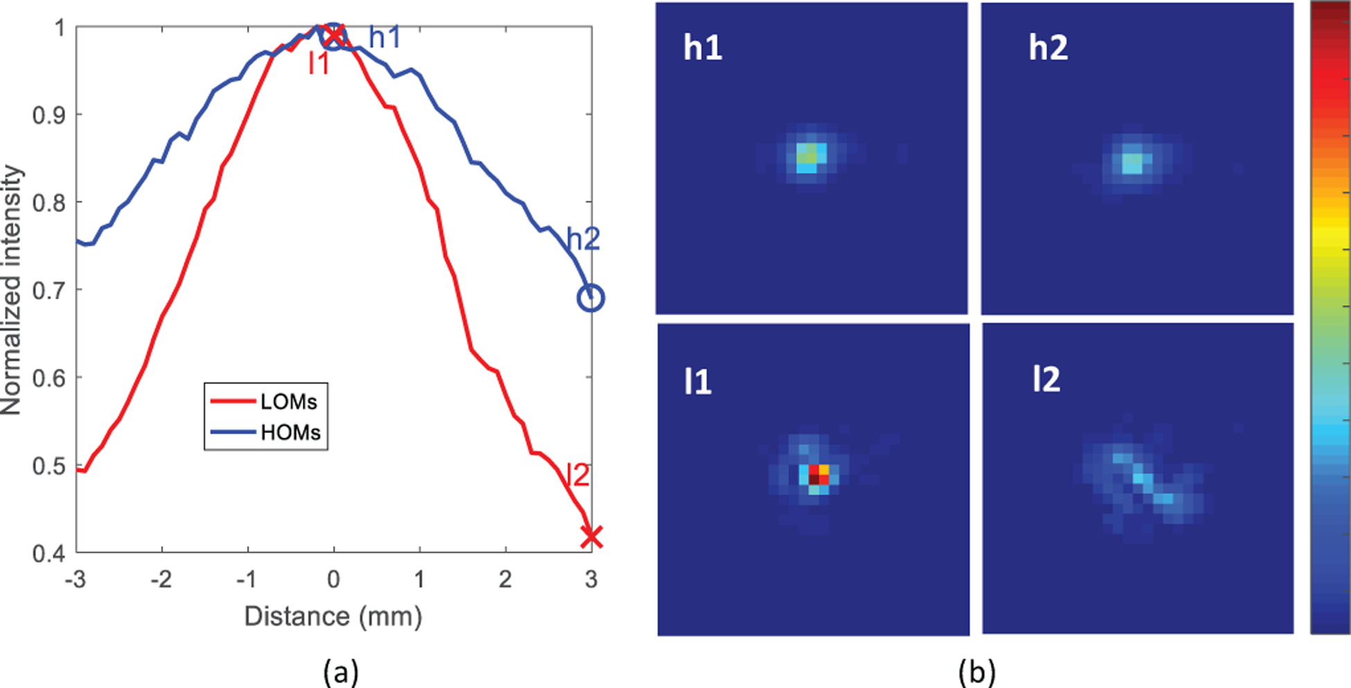 Fig. 6.