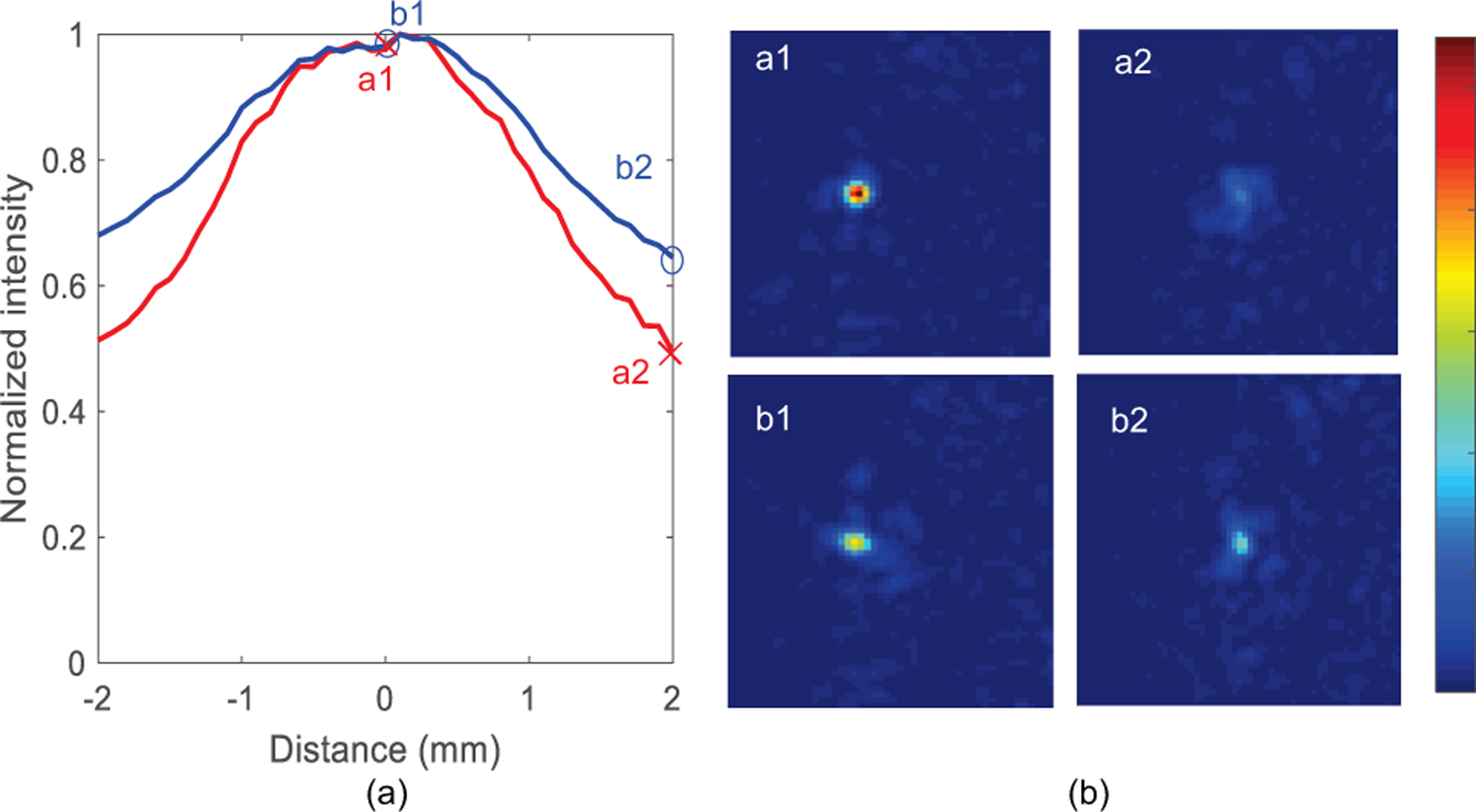 Fig. 10.