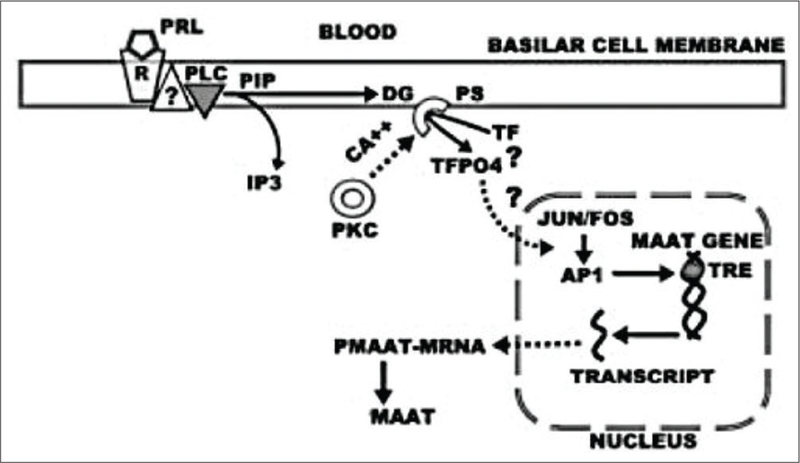 Figure 8: