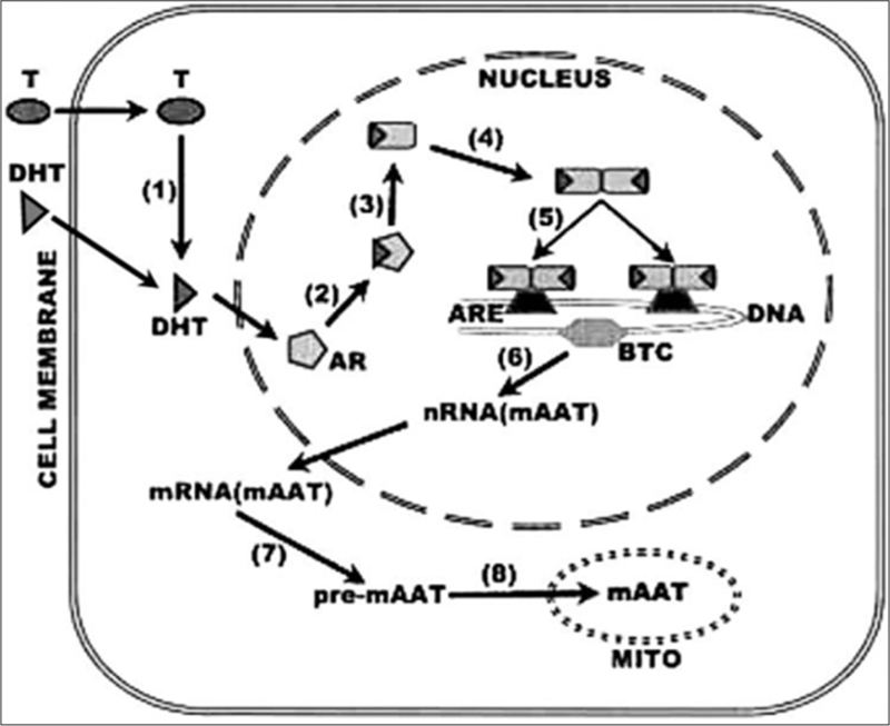 Figure 7: