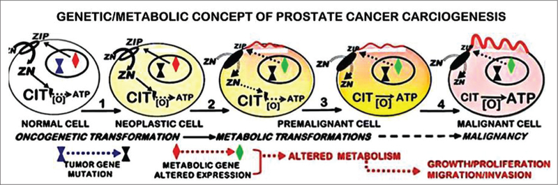 Figure 4: