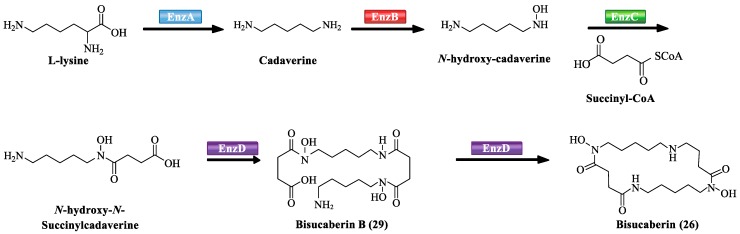 Scheme 1