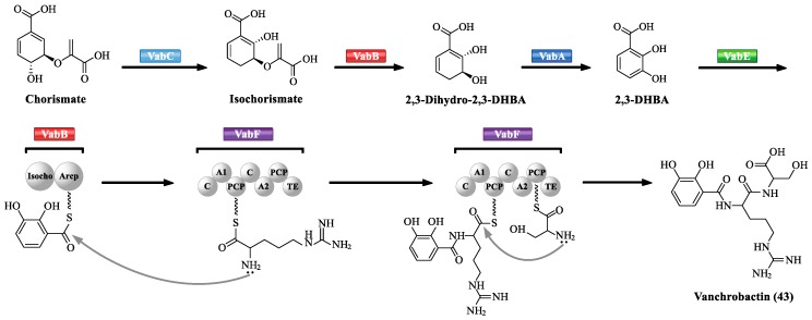 Scheme 2