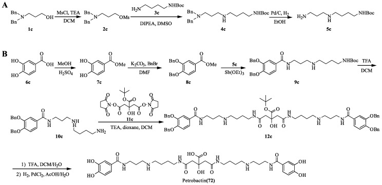 Scheme 9