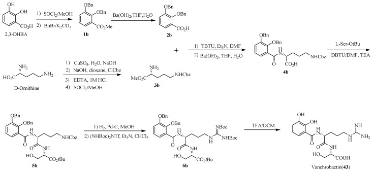 Scheme 8