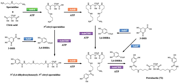 Scheme 6