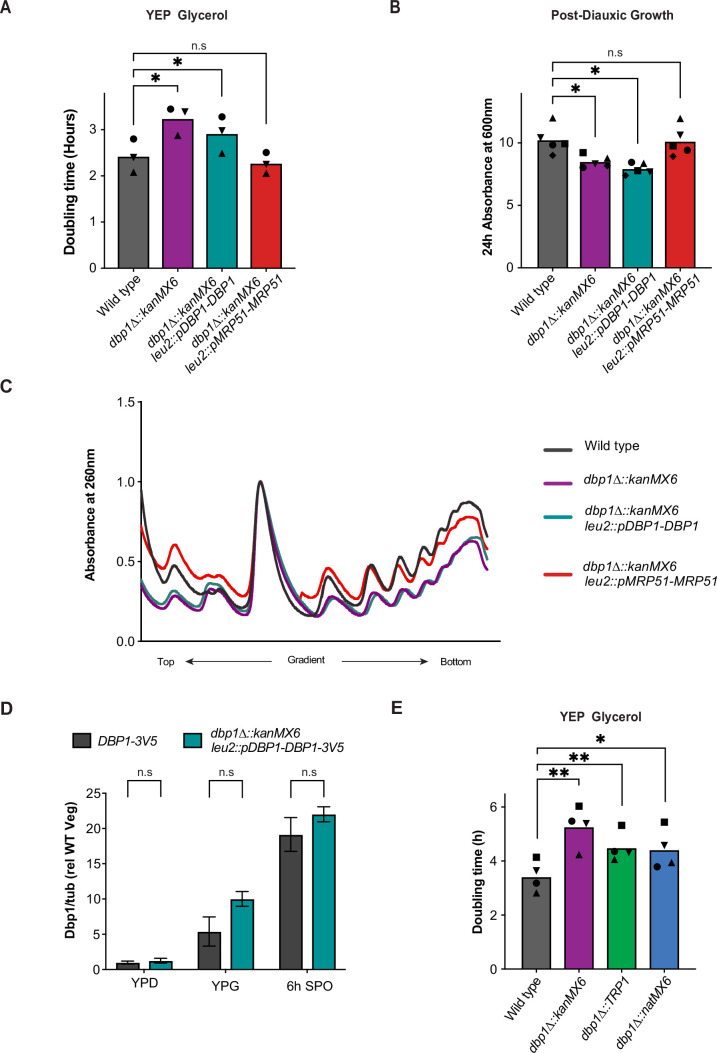 Figure 2—figure supplement 2.