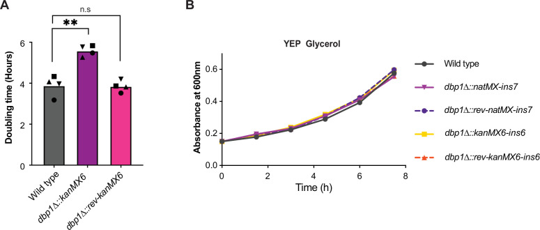 Figure 3—figure supplement 2.