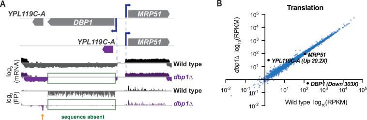 Figure 5—figure supplement 2.