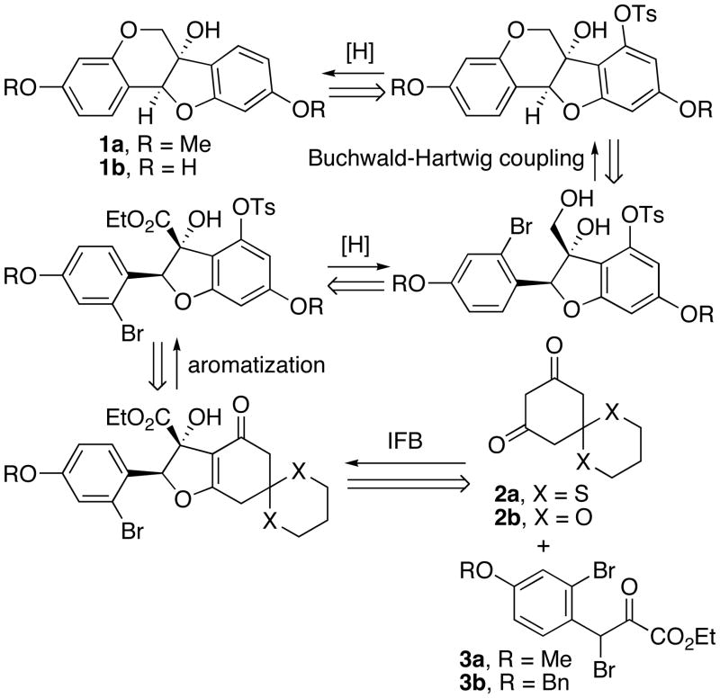 Scheme 1