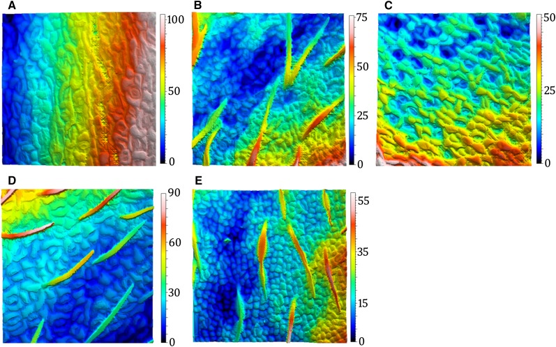 Figure 10.