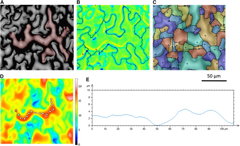 Figure 6.