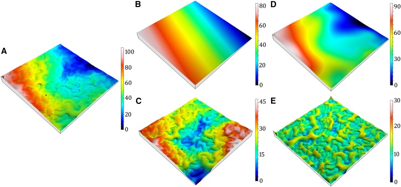 Figure 2.