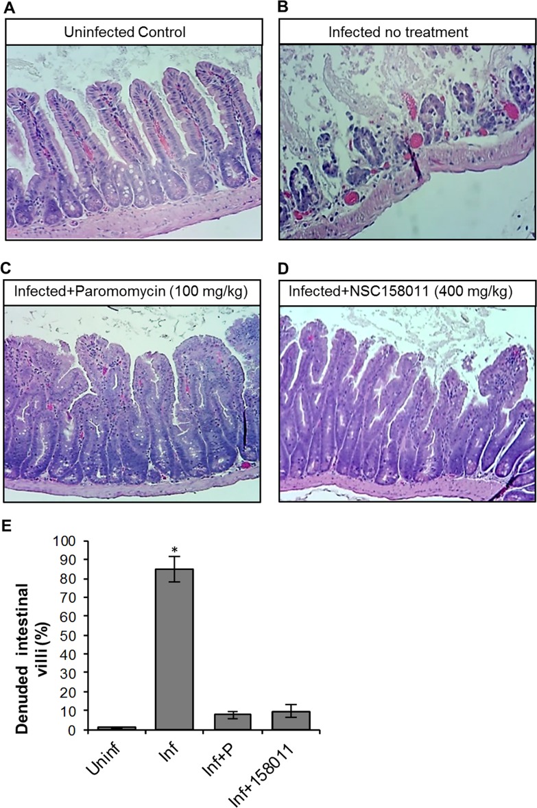 Fig 7