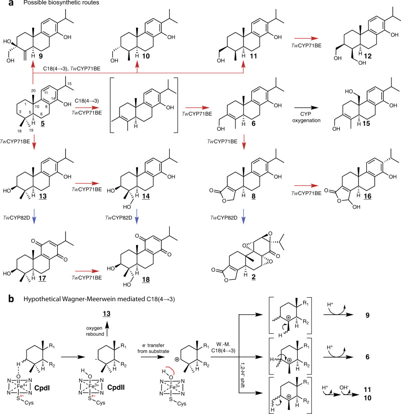 Fig. 4