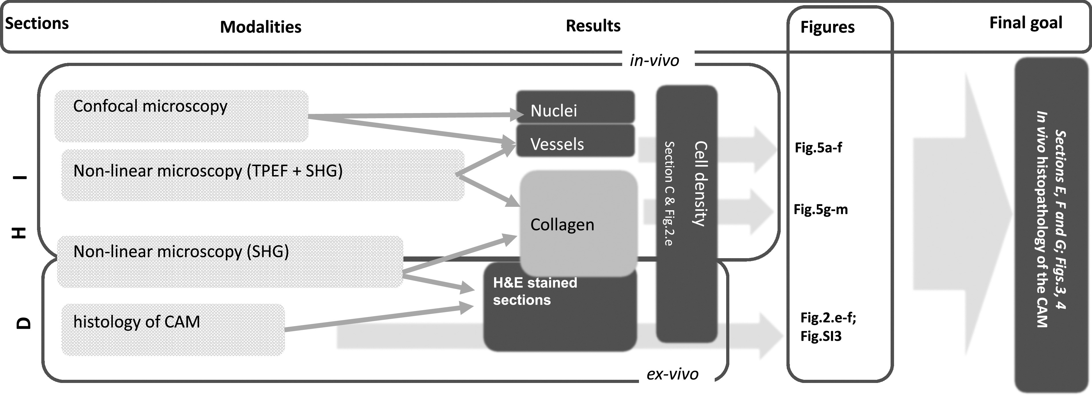 SCHEME 1.