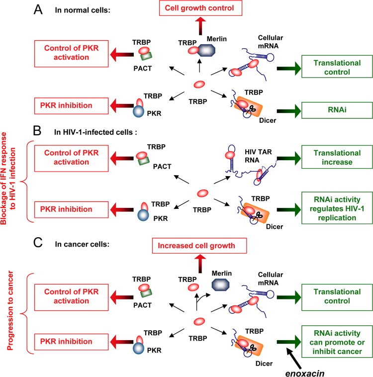 Fig 6