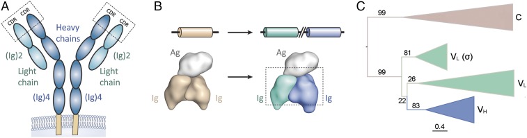 Fig. 1.