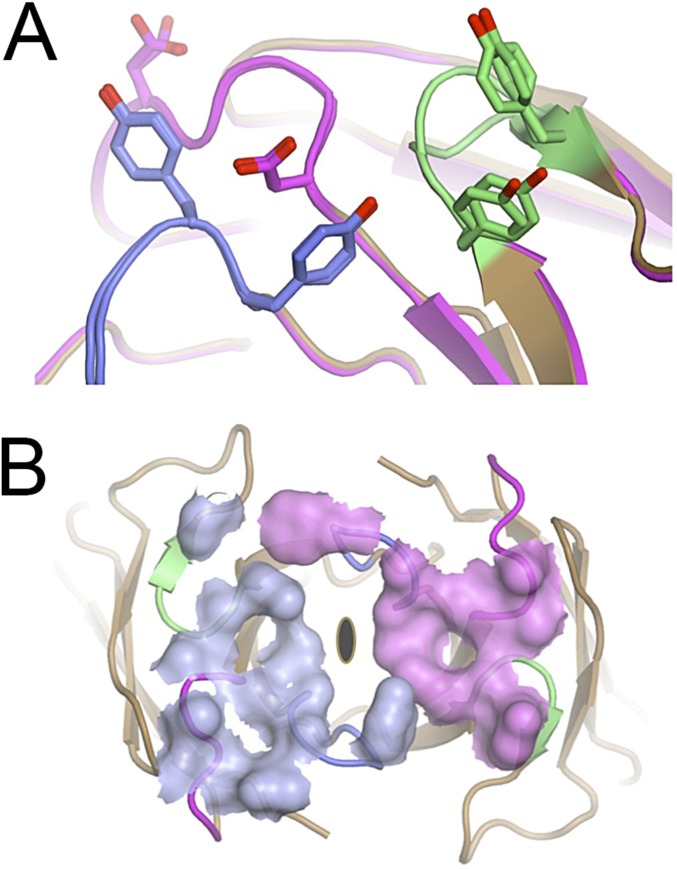 Fig. S6.