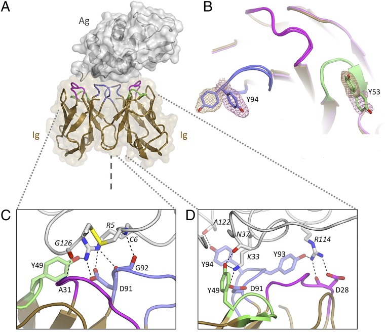 Fig. 2.