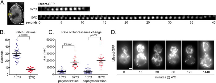 FIGURE 3: