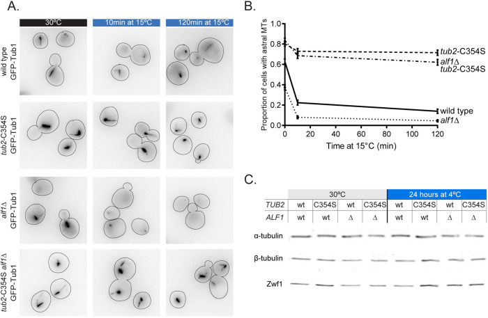 FIGURE 6: