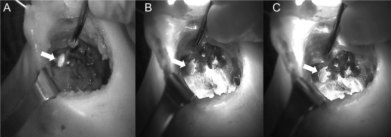 Figure 7: