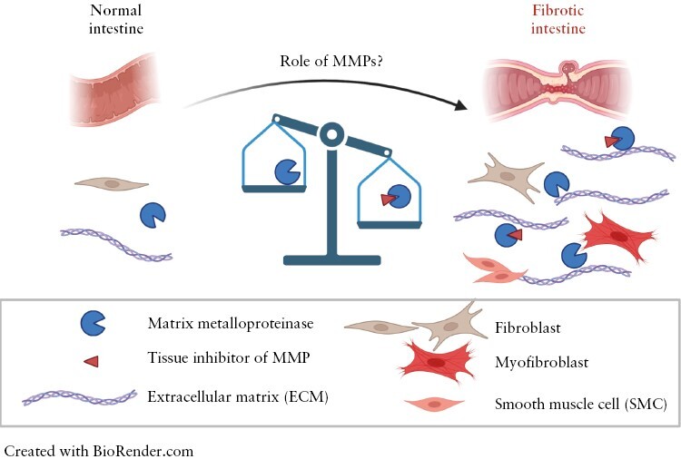 Graphical Abstract