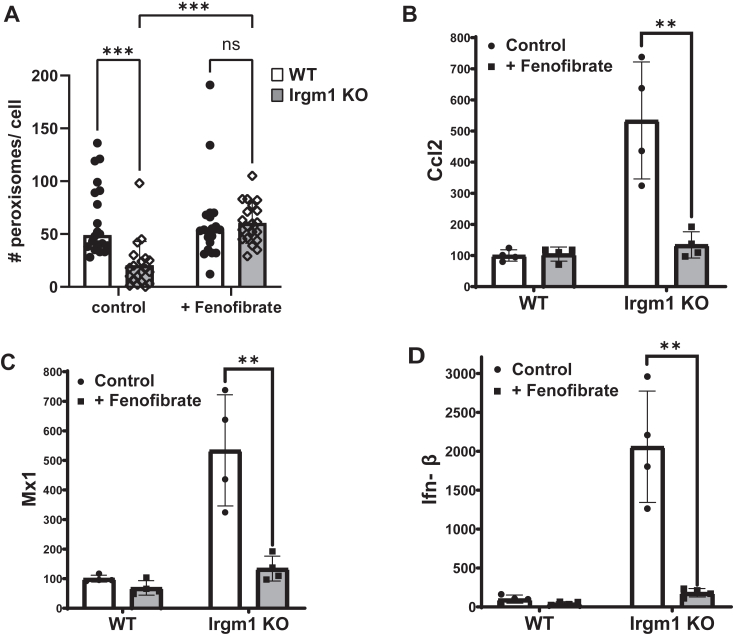 Figure 6