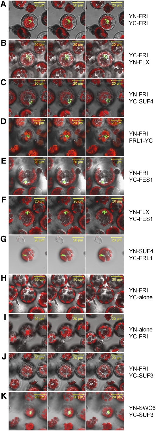 Figure 3.