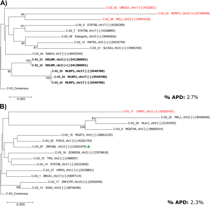 FIG 6