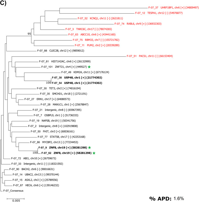 FIG 6