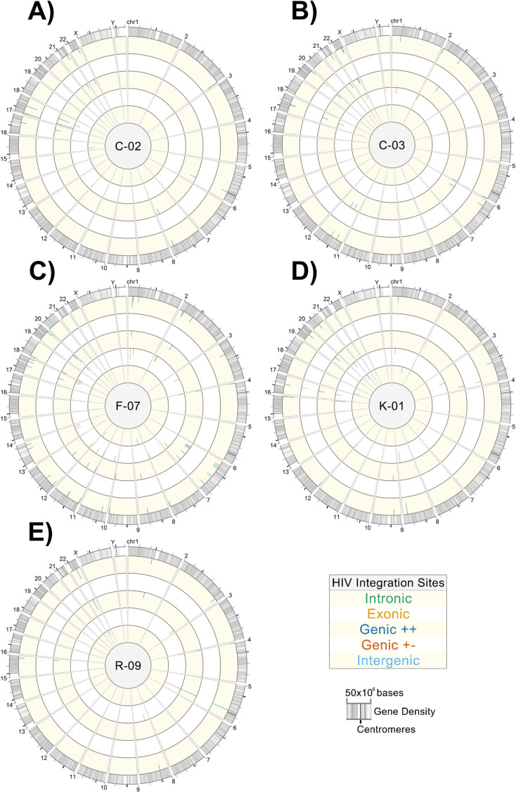 FIG 10