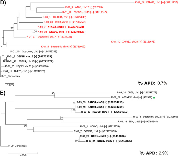 FIG 6