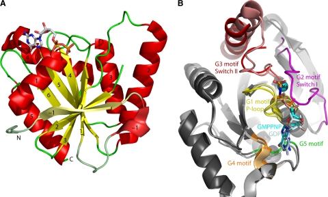 Fig. 2.