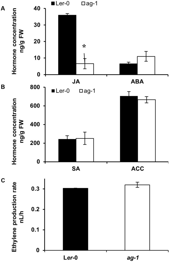 FIGURE 3