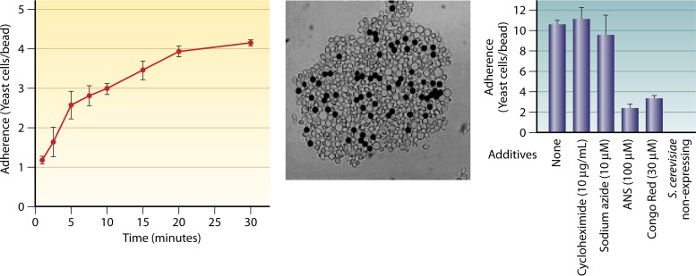 FIG 4